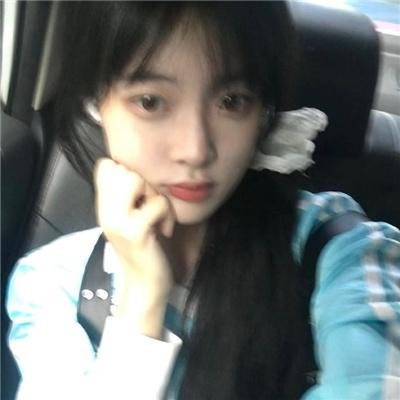 偷狗的完美方法